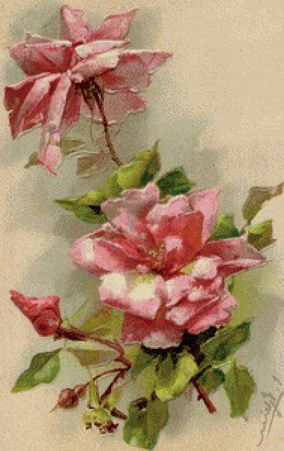 №578035 - цветы - предпросмотр