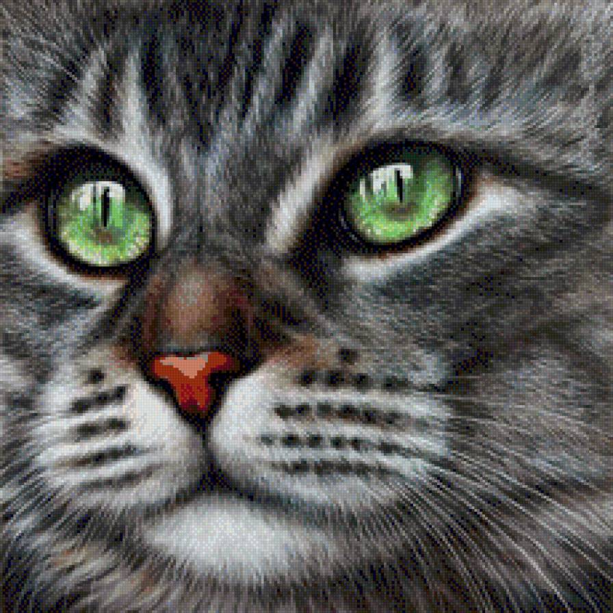 Усатый-полосатый - предпросмотр