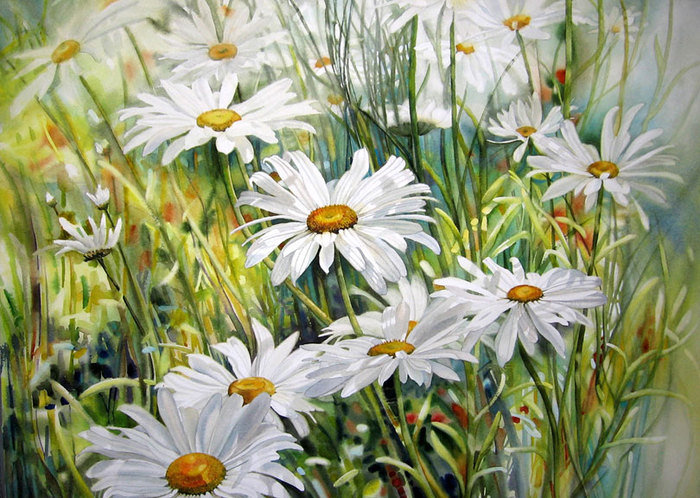 ромашки - натюрморт, цвета - оригинал