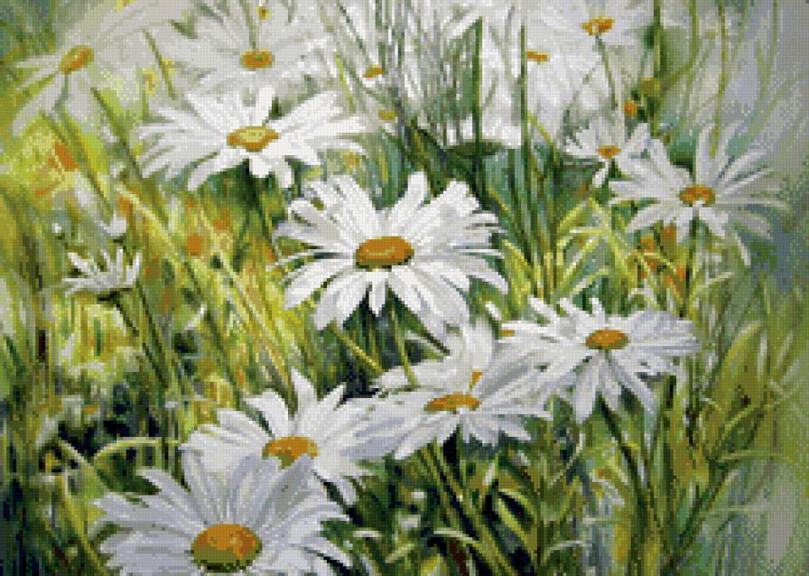 ромашки - натюрморт, цвета - предпросмотр
