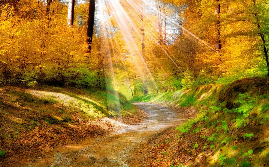 осень золотая - осень, природа - оригинал