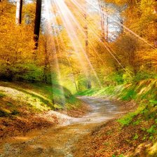 осень золотая