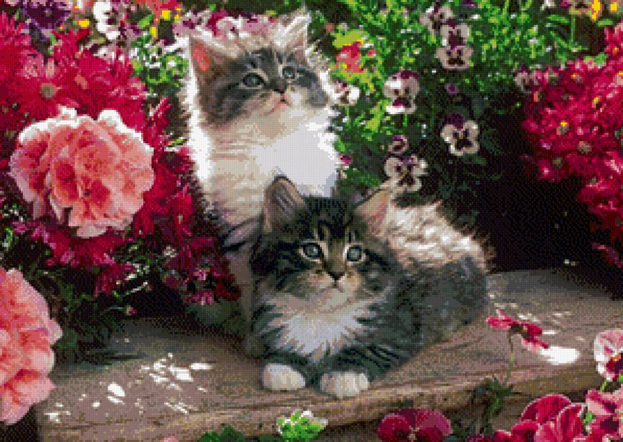 котята - цветы, сад, котята, пионы, животные - предпросмотр