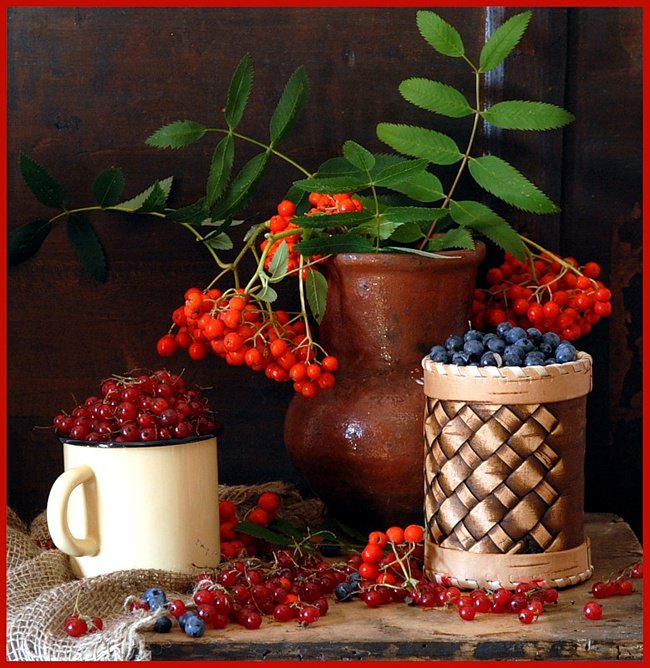 ягоды - натюрморты - оригинал