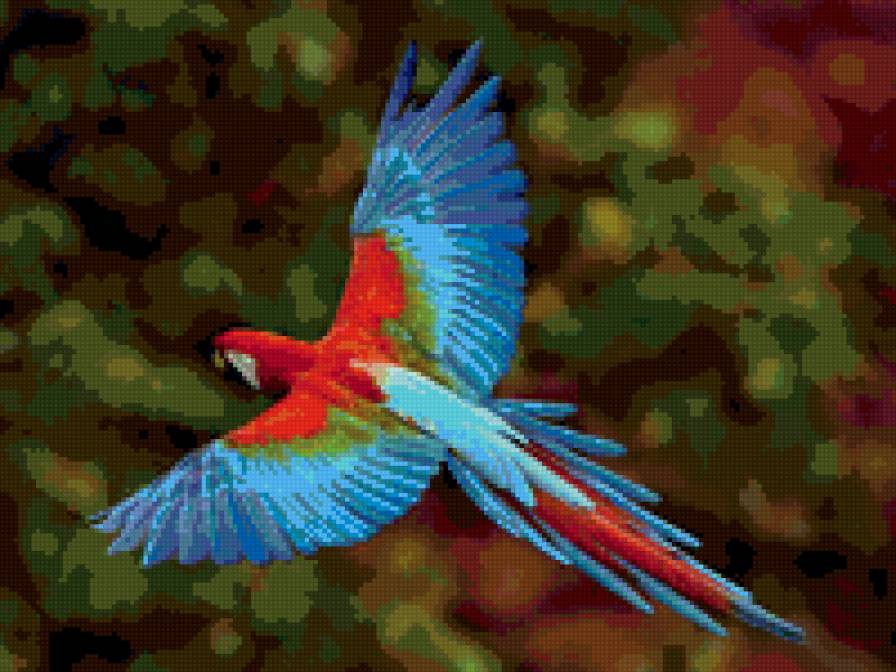 попугай - птицы - предпросмотр