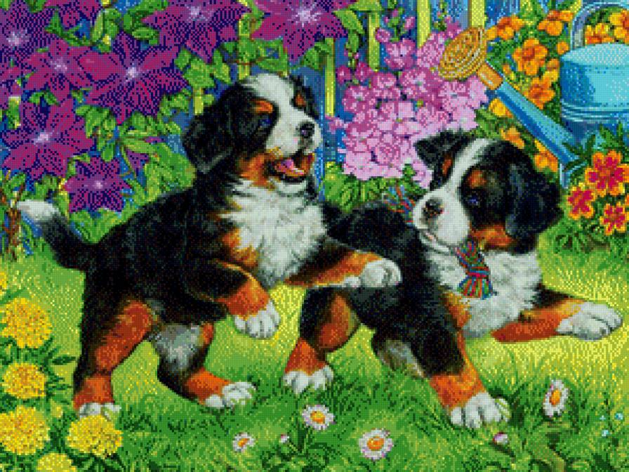 №578472 - детские - предпросмотр