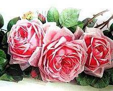 Схема вышивки «№578526»