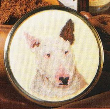 bull terrier - оригинал