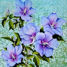 Схема вышивки «№578559»