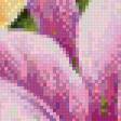 Предпросмотр схемы вышивки «№578574»