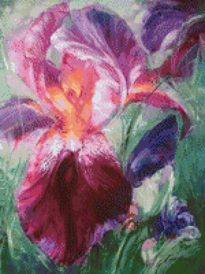 Ирисы - предпросмотр