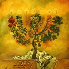 Схема вышивки «менора»