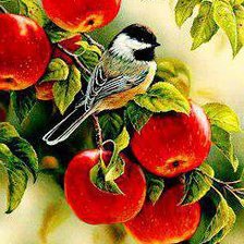 Схема вышивки «№578616»