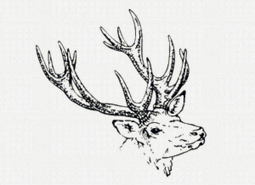 олень\ тема на подушку\ - предпросмотр