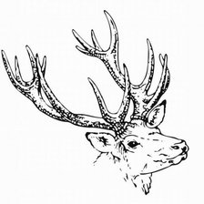 олень\ тема на подушку\