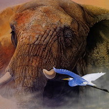 Схема вышивки «слон и цапля»