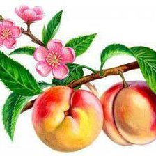 Схема вышивки «№578646»