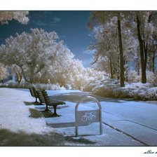 Схема вышивки «зима»