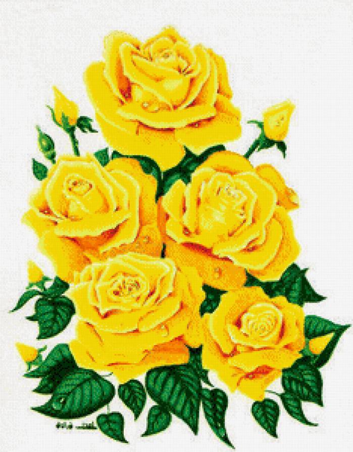 №578744 - розы - предпросмотр