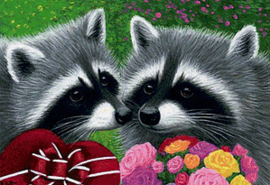 Енотики - животные, кошки, звери, еноты - предпросмотр