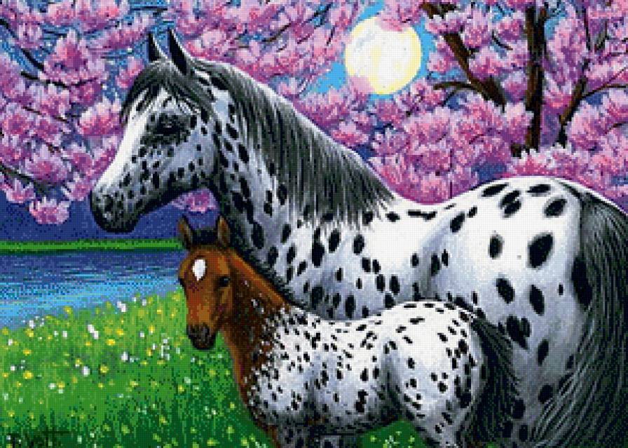 Красавицы-лошадки - животные, лошади - предпросмотр