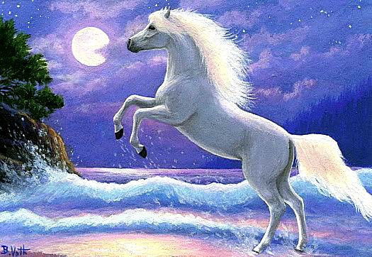 Лошадка - море, лошади, животные, ночь - оригинал