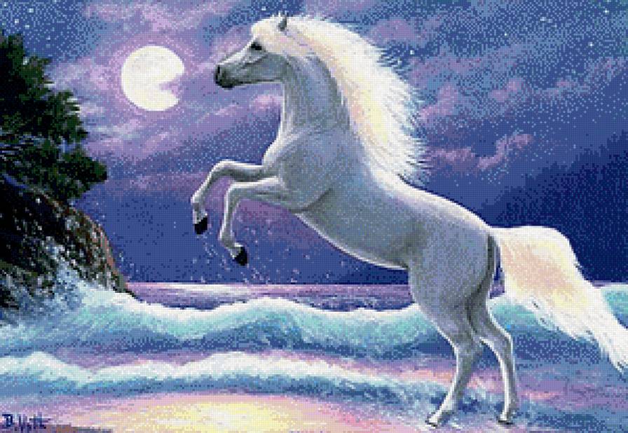 Лошадка - ночь, лошади, море, животные - предпросмотр