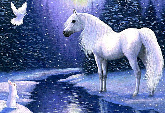 Красавица-лошадка - пейзаж, животные, лошади - оригинал