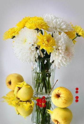 №579031 - натюрморт - оригинал