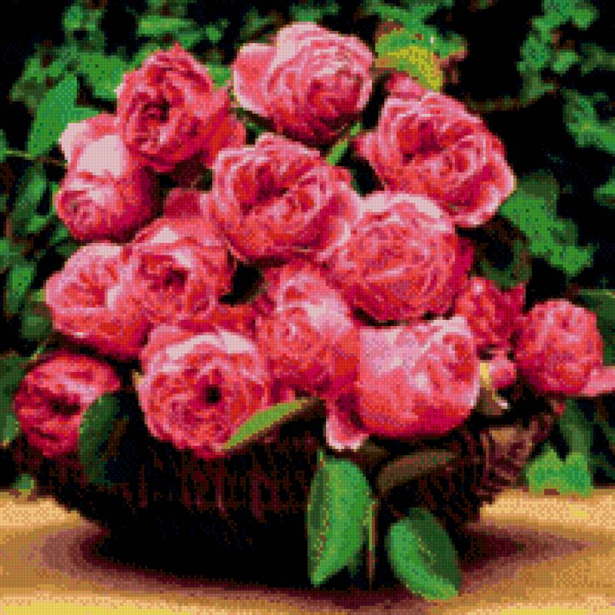 пионы - предпросмотр