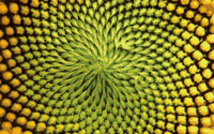 подсолнух - модерн, подсолнух, текстура, илюзия - предпросмотр