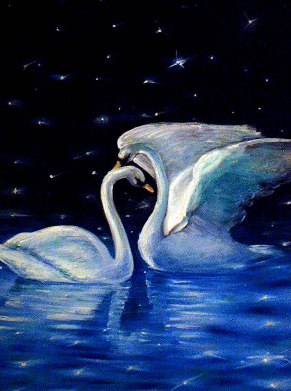 Луна лебединая. Красивые лебеди. Лебеди живопись. Картина "лебеди". Лебедь ночью.