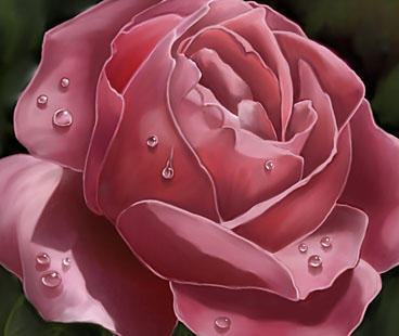 роз кап - оригинал