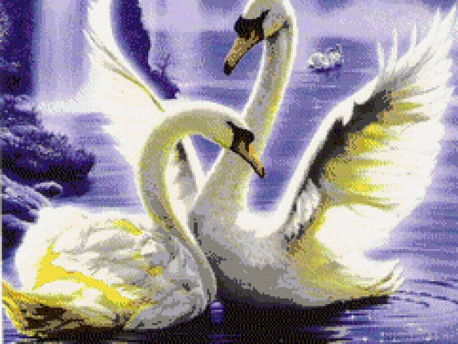 пара лебедей - вода, лебеди - предпросмотр