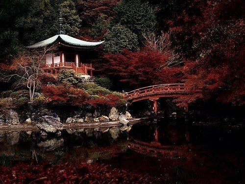 Сал - оригинал