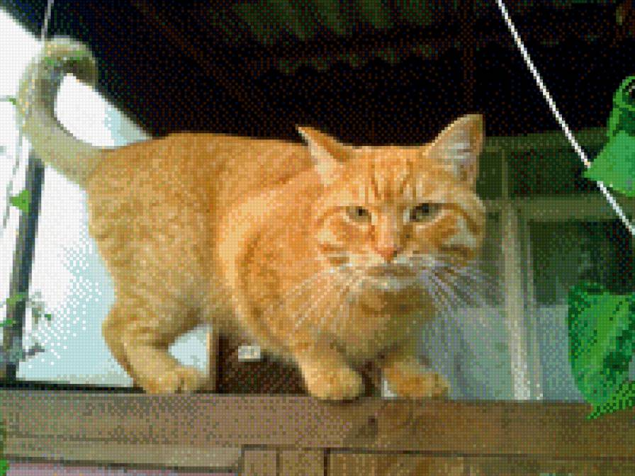 КУЗЯ - предпросмотр