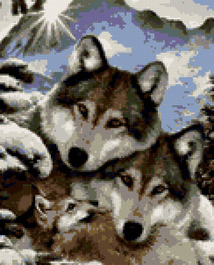 №579573 - предпросмотр