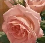 триптих розы 2 - оригинал