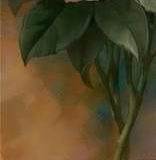 Схема вышивки «триптих розы 3»