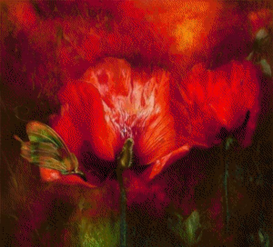 Маки. КЭРОЛ КАВАЛАРИС - цветы, маки, кэрол каваралис - предпросмотр