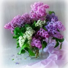 Схема вышивки «bzy»