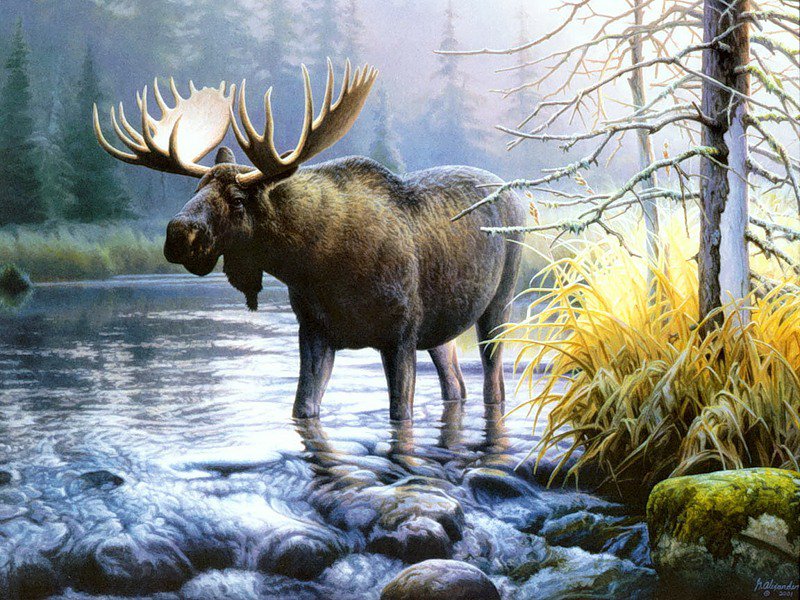 лось - оригинал