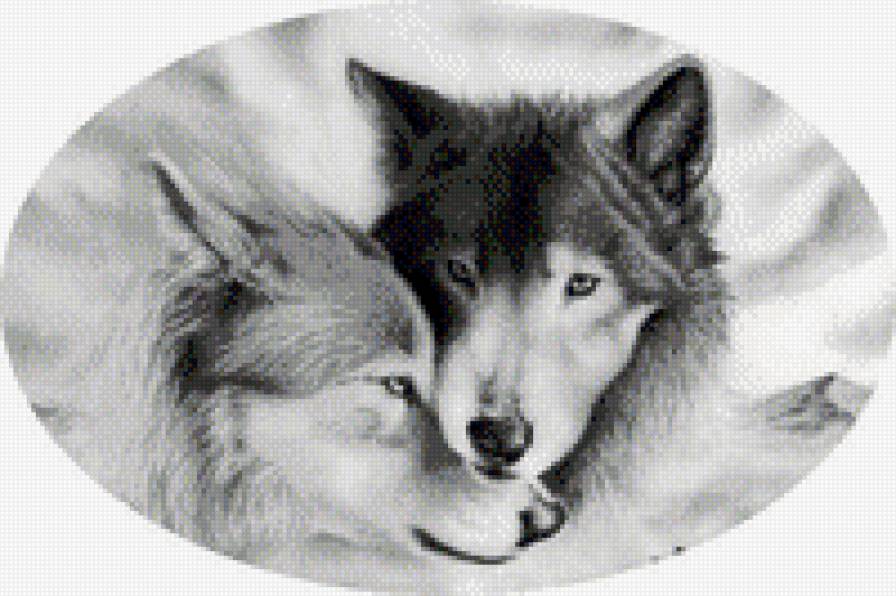 пара волков - предпросмотр