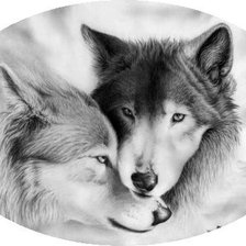 Оригинал схемы вышивки «пара волков» (№579897)
