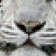 Предпросмотр схемы вышивки «пара тигров» (№579904)