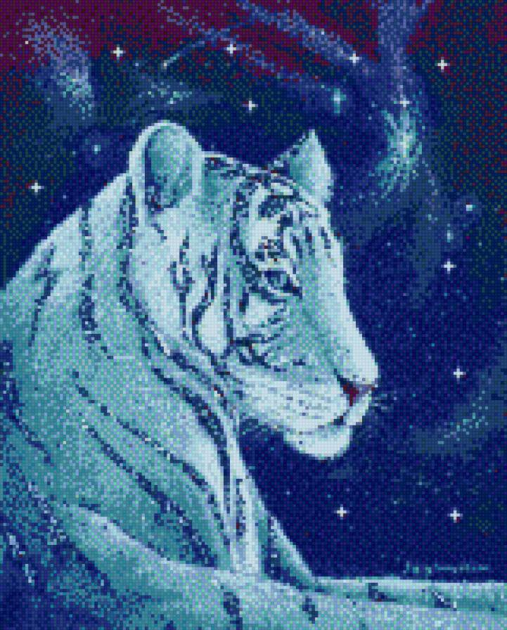 тигр - животные, тигр - предпросмотр