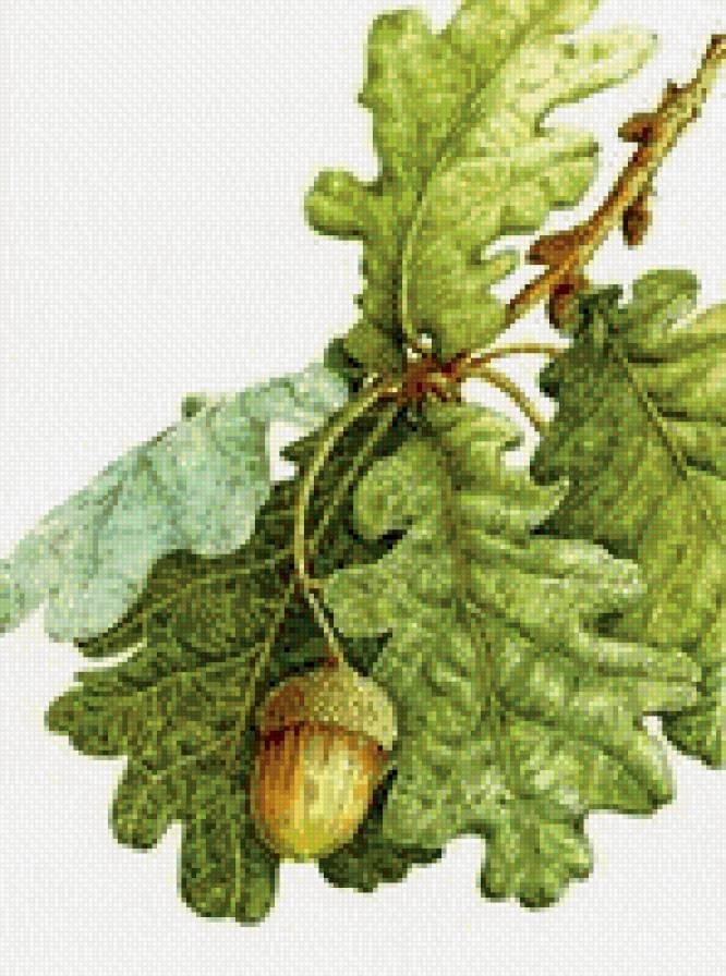 №579949 - предпросмотр