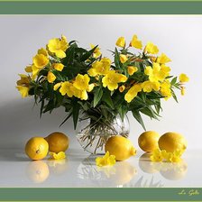 Схема вышивки «№580058»