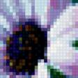 Предпросмотр схемы вышивки «Цветы» (№580163)