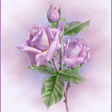 Схема вышивки «Розы»